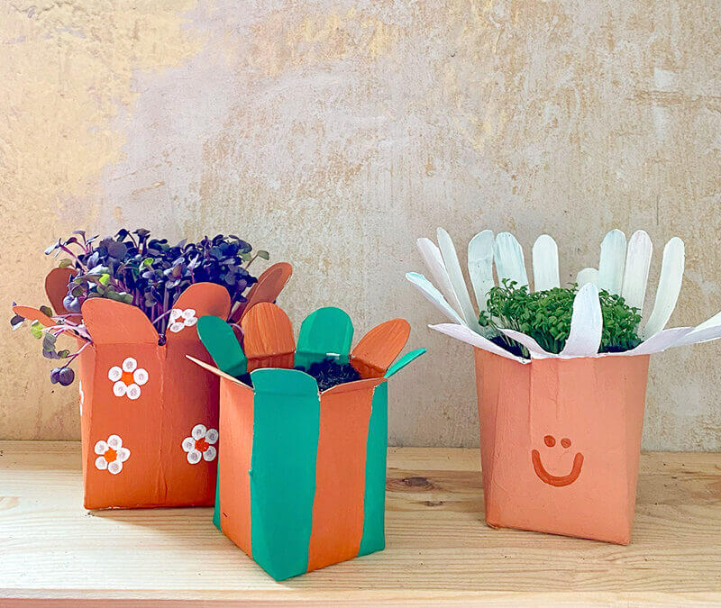 Upcycling Party mit Bienenbuffet: Wir basteln Blumentöpfe aus Milchkartons