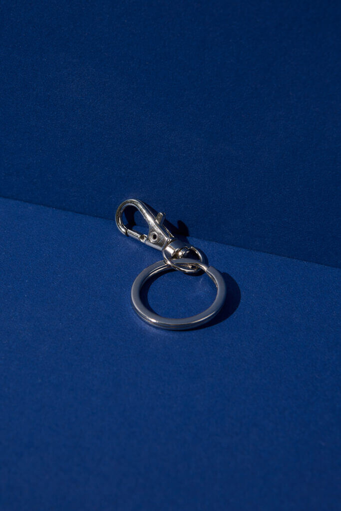 Karabiner Schlüsselring