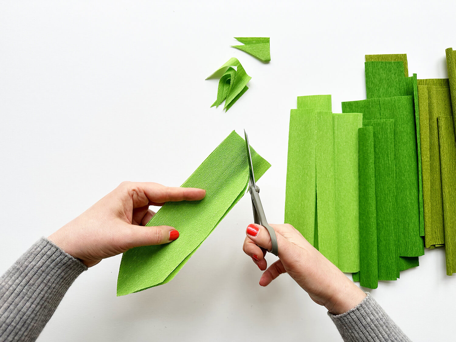 Ilex oder Weihnachtsstern? So bastelst du einen immerschönen Türkranz