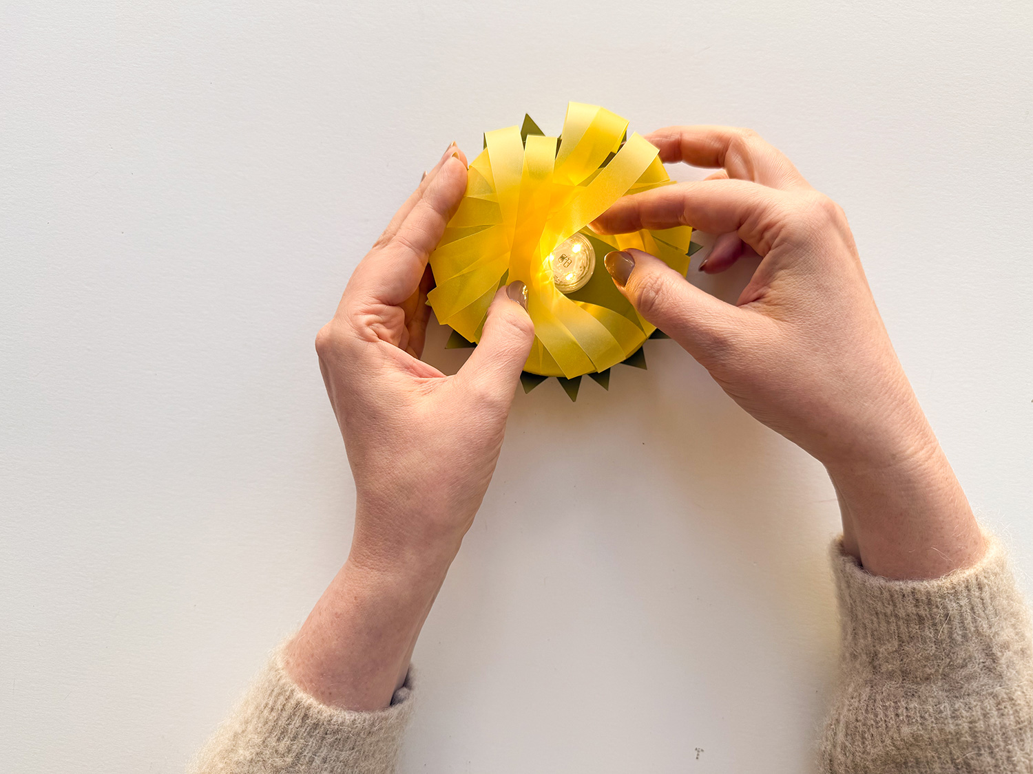 Lass uns eine Sonnenblumen-Laterne basteln.