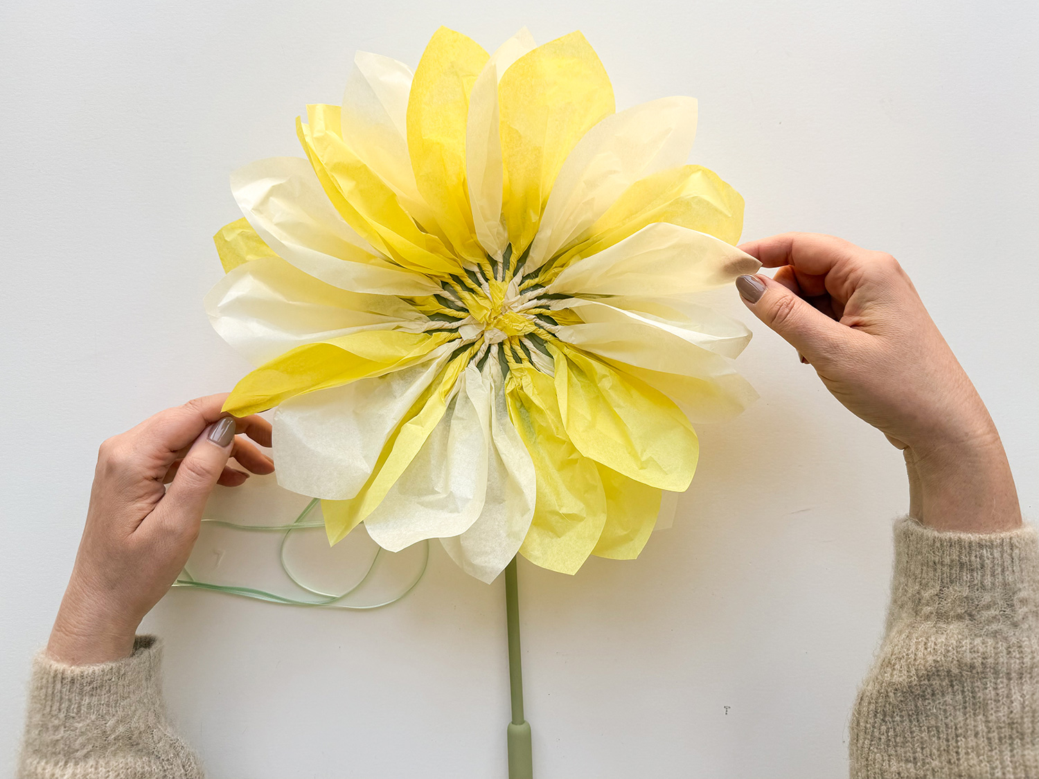 Lass uns eine Sonnenblumen-Laterne basteln.