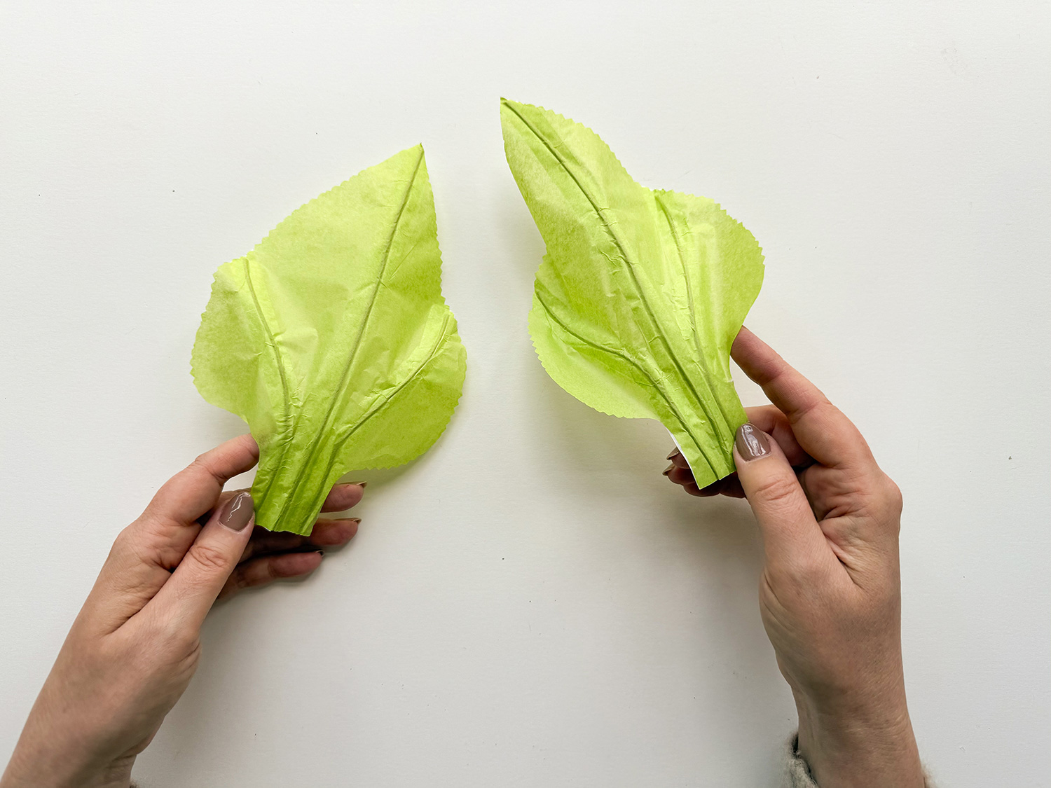 Lass uns eine Sonnenblumen-Laterne basteln.