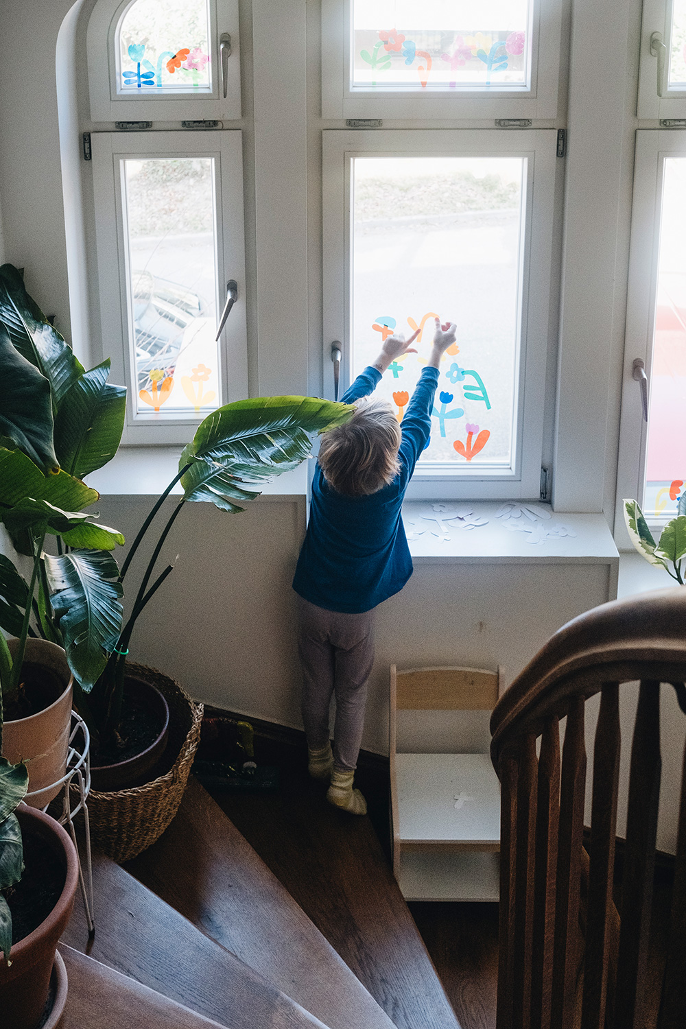 Lass uns Fensterdeko basteln mit magischer Fensterfolie und Blumen-Vorlage.