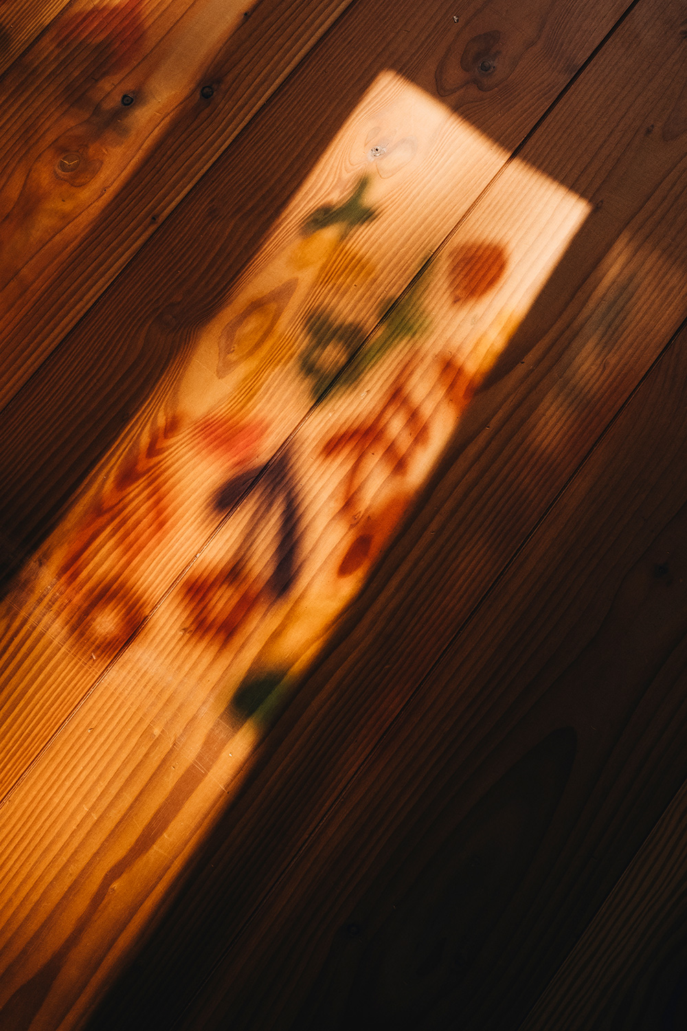 Lass uns Fensterdeko basteln mit magischer Fensterfolie und Blumen-Vorlage.